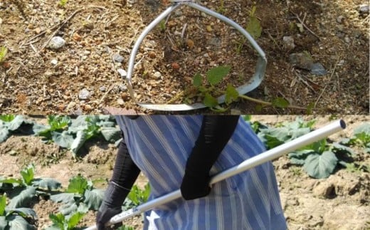 手取り除草機　Qホー（17cm）　《足寄町》【株式会社キュウホー】除草具 農具 草取り 草刈り 農業 農作業 のうさぎょう ガーデンニング 庭 園芸 掃除 花 草 雑草 [BEBH001]