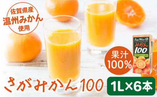 
【佐賀県産温州みかん使用】人気上昇中！さがみかん100　1L×6本【JAさが 杵島支所】果汁100% 濃縮還元 [HAM039]
