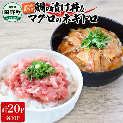 ふるさと納税 田野町 【四国一小さなまち】訳あり鯛の漬け丼&amp;マグロのネギトロ 80g×各10P