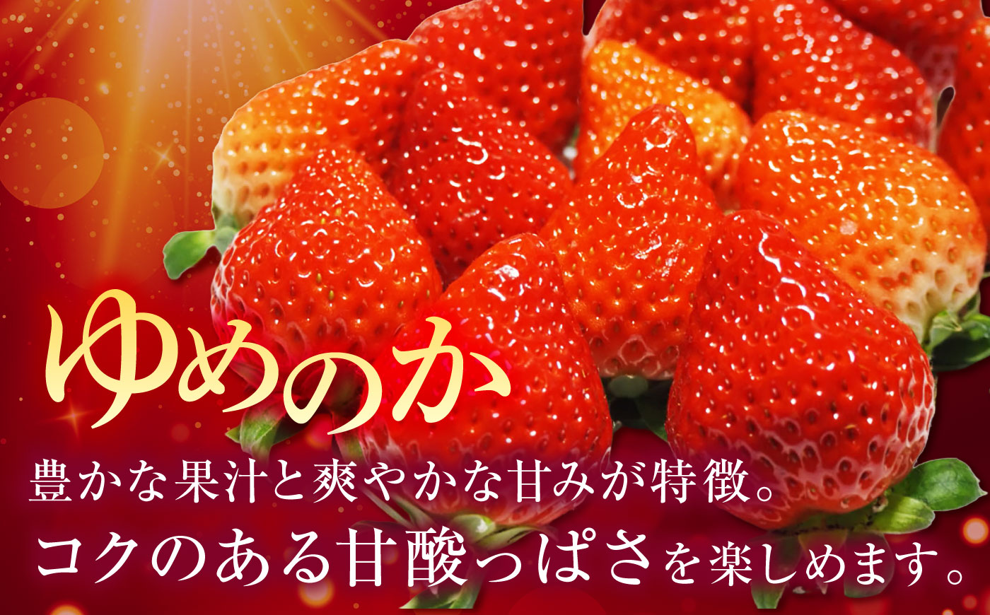 【訳あり/簡易包装】ゆめのか 約250g × 2パック 《壱岐市》【Strawberry Gang】[JEM006] セット いちご イチゴ 苺 果物 フルーツ スムージー 訳あり 8000 8000