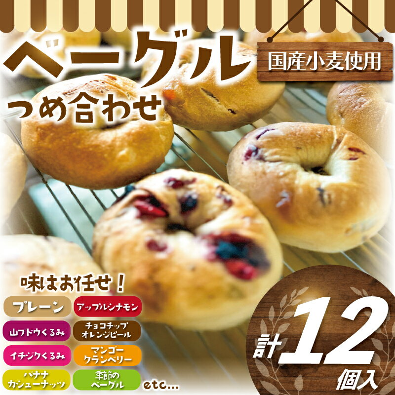 【ふるさと納税】 べーぐる 詰め合わせ 12個 セット 国産 小麦 国産 厳選 小麦 ベーグル パン ぱん pann pan プレーン ブルーベリー チョコ イチジク くるみ 地元 野菜 朝食 個包装 楽しみ 冷凍 プレゼント ギフト 手土産 喜ぶ ムギナミベーカリー 10000円 神奈川 湘南 藤沢