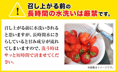 いちご イチゴ 苺 福岡の名産 いちご あまおう いちご 苺 540g 送料無料 【着日指定不可】《3月中旬-4月中旬頃より出荷予定》ふるさと納税 いちご 福岡県 鞍手郡 【鞍手町】