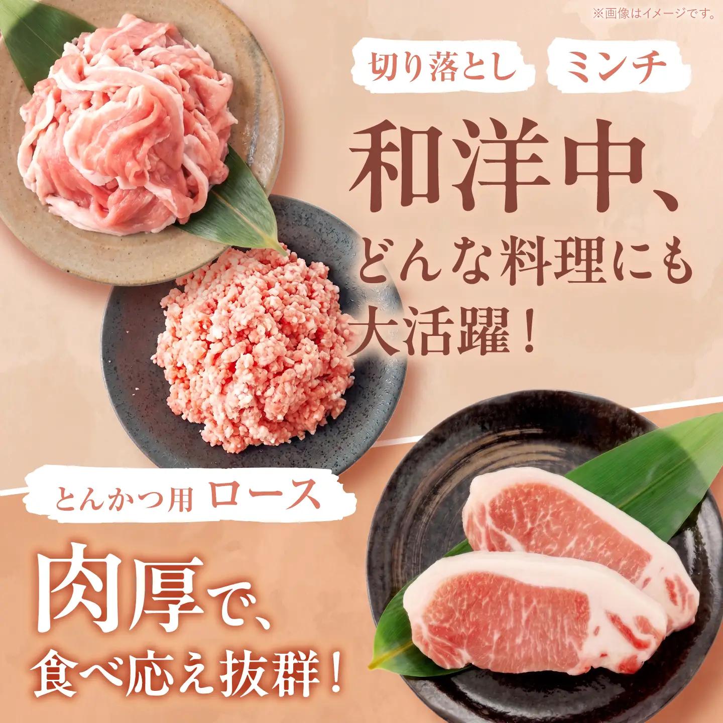 【6回定期便】 西海市産 「炭美豚」 豚肉詰め合わせ バラエティセット 計3kg (5種)＜宮本畜産＞ 豚肉 セット 豚 便利 しゃぶしゃぶ 切り落とし バラ ロース 冷凍 国産 料理 使いやすい 甘