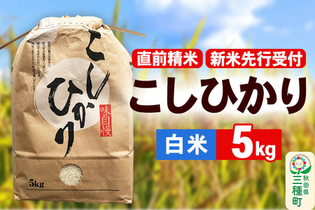 《新米先行受付》【精米】こしひかり 5kg（5kg×1袋）令和6年産 米 秋田県 三種町産