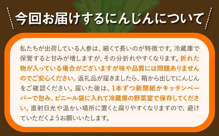 十勝 浦幌べにかなで 人参 訳あり 不揃い 約5kg 農事組合法人レギューム