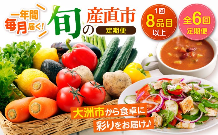 
            【全6回定期便】 旬の産直市お任せセット （8種以上） 愛媛県大洲市/愛たい菜[AGAP019] 野菜 定期便 野菜セット やさい 野菜定期便 やさいセット 新鮮野菜 愛媛県産 大洲市産 産地直送 おすすめ 人気 お取り寄せ 送料無料 贈答 ギフト
          