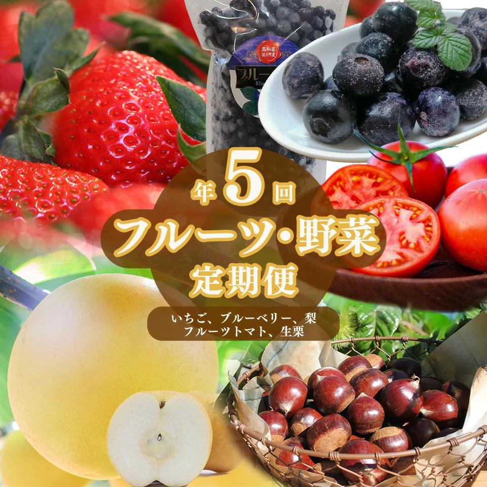 ＜佐川のフルーツ・野菜 定期便（全５回）＞　いちご 苺 冷凍ブルーベリー フルーツトマト 梨