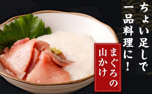 天然本まぐろ 赤身 中トロ 切落し お手軽 ちょこっとパック 合計1.2kg 食べきりサイズ 切り落とし お刺身 魚介類 海鮮 小分け 魚 海産物 魚貝 マグロ 父の日 高知県 簡単解凍 簡単調理 惣
