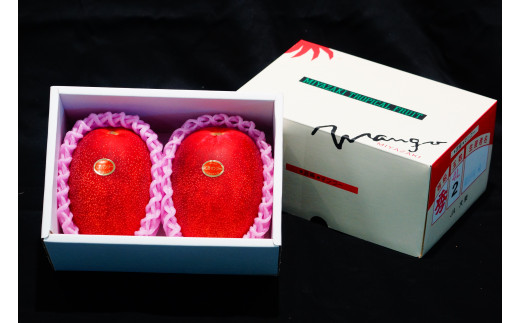 KU020＜先行予約・数量限定＞完熟マンゴー・赤秀(1kg・2～3玉) 宮崎県産の完熟マンゴー 【串間市大束農業協同組合】