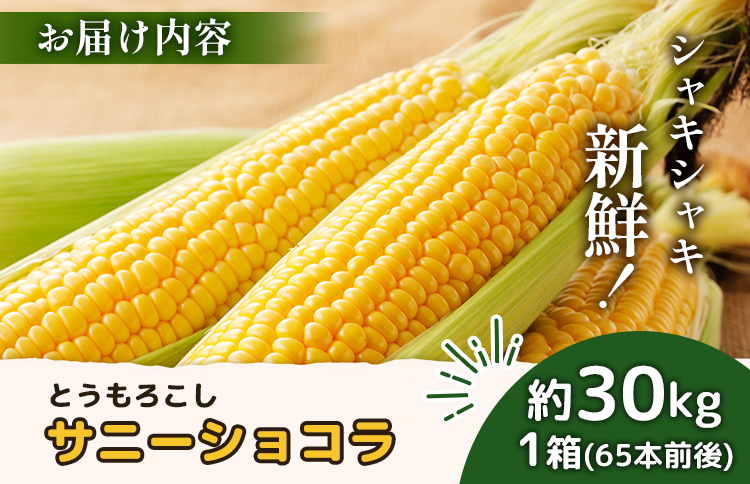 【先行予約】上原農場直送 有機栽培とうもろこし (サニーショコラ) 約30kg 約65本前後【66021】_イメージ4