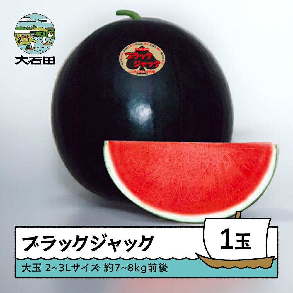 【ふるさと納税】すいか 大玉 ブラック・ジャック 2〜3L×1玉入り 2026年産 令和8年産 送料無料 スイカ 大石田町産 8月上旬から順次発送 mn-subjx2