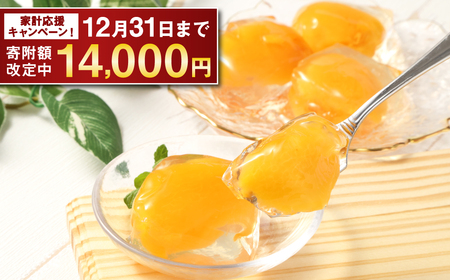 【期間限定！～12月31日まで寄附額改定】【14営業日以内発送】茂木ビワゼリー10個 ／ ゼリー ぜりー フルーツゼリー 果実ゼリー びわ ビワ 枇杷 スイーツ デザート 長崎県産 長崎県 長崎市