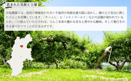 りんご ジュース(サンふじとシナノゴールド) 1L×6本 ｜ りんごジュース りんごジュース りんごジュース りんごジュース りんごジュース