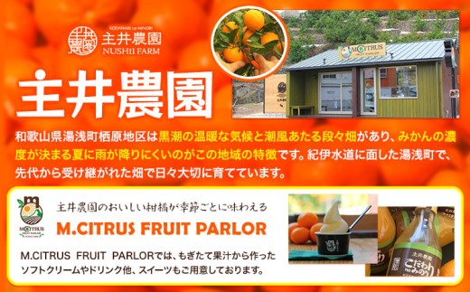 【2回定期便】主井農園の高級松兵衛みかん 2.5kg×2回 S～2Lサイズ(サイズおまかせ)《11月中旬-1月上旬頃出荷》主井農園 和歌山 和歌山みかん みかん ミカン 蜜柑 柑橘 果物 フルーツ
