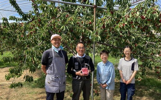 8-018-005　千果園のさくらんぼ 佐藤錦（2L）1kg