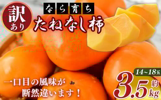【なら育ち 益田農園】たねなし柿　訳アリ　約3.5kg(14玉～18玉） | フルーツ 果物 くだもの 柿 かき カキ 奈良県 五條市