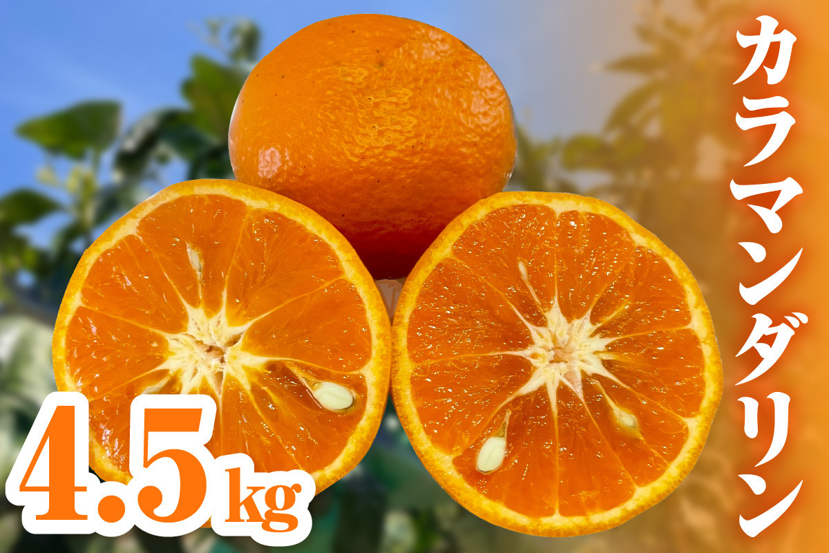 
ミカファームのカラマンダリン4.5キロ 果物 フルーツ みかん オレンジ カラマンダリン 4.5kg 三重県 御浜町
