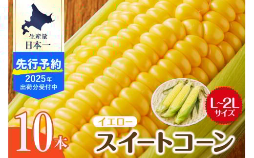 【先行予約】【2025年産】北海道十勝芽室町 とうもろこし スイートコーン10本 イエロー種 me002-004c-25