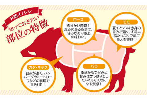 おおち山くじら（イノシシ肉）味噌すき鍋セット 約1.8kg【冬猪肉 ロース 500g 夏猪肉 モモ 500g ミンチ 500g 鍋の味噌 100g 3パック 肉 猪肉 いのしし肉 イノシシ肉 しし肉 