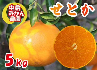 【2026年3月から発送】 せとか 小玉 5kg 中島みかん農園 ｜ 先行予約 みかん 蜜柑 柑橘 高級 小粒 わけあり 訳あり 甘い みかん 柑橘 愛媛 糖度 せとか 愛媛 松山【NM0102】