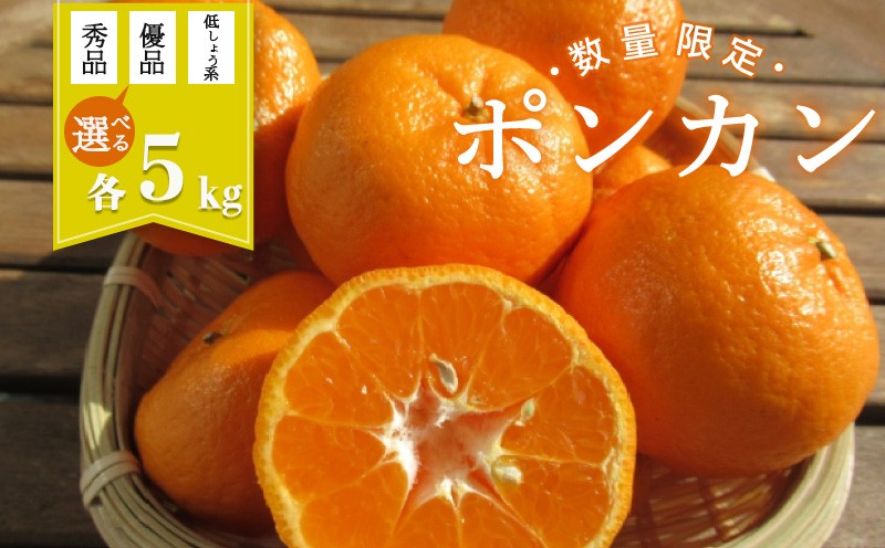 
            【数量限定】 ポンカン 5kg 早生 低しょう系 | ぽんかん 秀品 優品 9000円 ～ 早生 低しょう系 おすすめ ランキング 産地直送 果物 フルーツ ふるさと納税みかん 柑橘 くだもの ミカン 果肉 蜜柑 人気 ふるさと納税 みかん ふるさと納税 果物 ふるさと納税 フルーツ 期間限定 国産 産地直送 果物類 果物の詰合せ みかん・柑橘類 みかん 高知県 須崎市 KG013-all
          