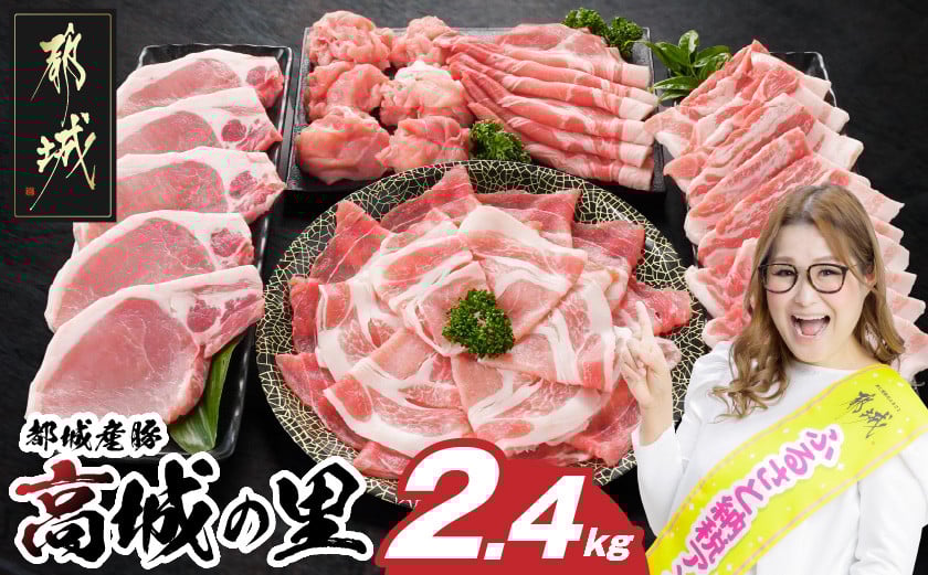 
            【お届け月を選べます】「高城の里」わくわく2.4kgセット(真空)_16-8401-s-S2026_(都城市) リピーター続出‼ 豚肉 都城産豚 高城の里 しゃぶしゃぶ バラ 焼肉 切り落とし 肩ローススライス ロース とんかつ  ブランド豚
          