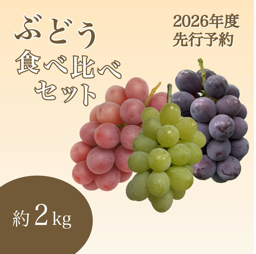 【ふるさと納税】【2026年度_先行予約】【ご家庭用】ぶどう食べ比べセット 約2kg〔2026年8月中旬より順次発送〕 | ぶどう フルーツ 果物 くだもの 食品 人気 おすすめ 送料無料