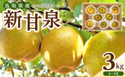 【数量限定】2026年度発送 先行予約 新甘泉 3kg【梨 なし しんかんせん 3キロ 限定 令和8年 先行受付 新鮮 鳥取県産 鳥取県 北栄町 おすすめ 人気】