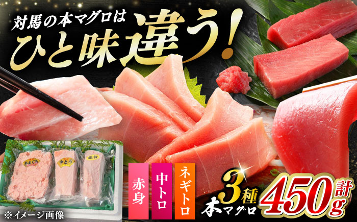 対馬産 本マグロ 3種 計450g（赤身/中トロ/ネギトロ）《対馬市》【対海】[WAH002] マグロ まぐろ 鮪 本鮪 本マグロ 養殖 トロ 中トロ 中とろ 赤身 ねぎとろ ネギトロ たたき 刺身 冷凍 海鮮 魚 柵 お祝い 贈答