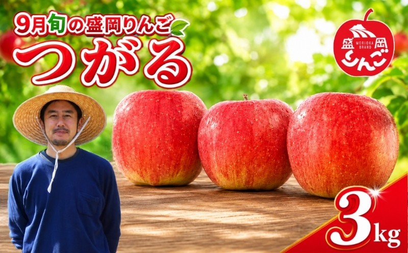 
                  先行予約 訳あり 9月旬の盛岡りんご つがる 3kg 残暑りんご 盛岡りんご りんご 果物 フルーツ 林檎 リンゴ 国産 産地直送 農家直送 くだもの お取り寄せ おすそわけ デザート 特産品 名産品 ご当地 自宅用 家庭用 盛岡ブランド 朝食 おやつ 新鮮 甘い ringo apple 岩手県 盛岡市 東北 岩手 盛岡 りんご工房きただ RKK001
                
