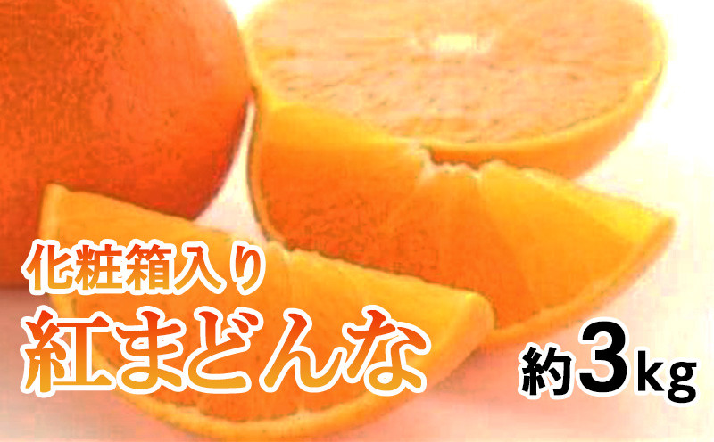 化粧箱入り 紅まどんな 約3kg  【2026年11月下旬頃から順次発送】  | 紅マドンナ べにまどん まどんな 愛媛みかん 愛媛三大柑橘（ 紅まどんな せとか 甘平 ）紅まどんな ベニマドンナ 柑橘 まどんな 果物 くだもの ふるーつ フルーツ 蜜柑 かんきつ mikan mican 愛媛県 松山市