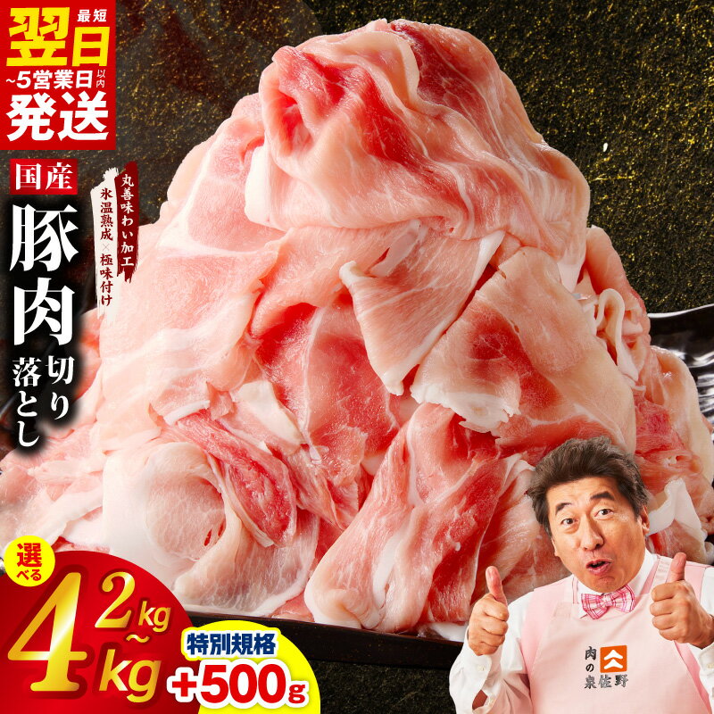 【ふるさと納税】最短翌日発送 国産豚肉 切り落とし 特別規格 2.5kg / 4.5kg 定期便 氷温熟成×極味付け 1P 500g 豚 肉 豚肉 熟成肉 発送月 5営業日 大阪府 泉佐野市 送料無料 肉の泉佐野 圧倒的企業努力