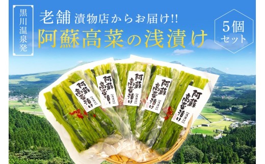 【黒川温泉発】阿蘇高菜の浅漬け（5個入） 阿蘇高菜 浅漬け 160g 5個 高菜 漬物 高菜漬け 高菜漬物 お取り寄せ ギフト 贈答用 黒川温泉 平野朝光商店 九州 熊本 阿蘇 南小国町 送料無料