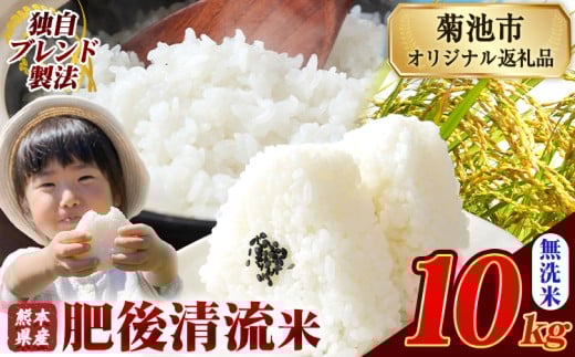 熊本県産 無洗米 肥後清流米 10kg 熊本県産 ふるさと納税 精米 米 こめ ふるさとのうぜい コメ お米 おこめ《12月中旬-2月末頃出荷》