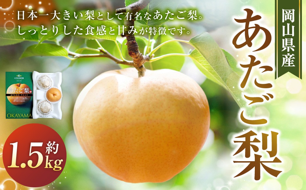 
                  あたご梨 3玉 約500g 合計約1.5kg以上 化粧箱 梨 ナシ なし 愛宕梨 あたごなし ジャンボ梨 【2026年11月下旬～12月下旬発送予定】
                