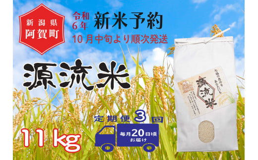 《令和6年産米》【定期便】3回　源流米　コシヒカリ11kg（1袋） ～七福の恵をあなたにも～	