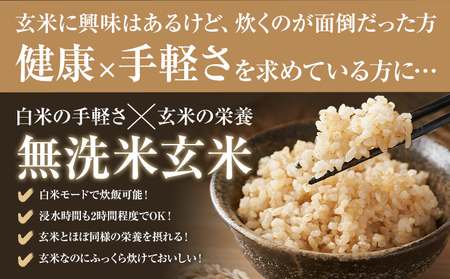 【12ヶ月定期便】熊本県産 肥後米 無洗米 玄米 5kg 1袋5kg 米 お米 令和6年産 九州産 熊本県産 ブレンド米 送料無料《お申込み翌月に出荷予定》玄米 無洗米 米