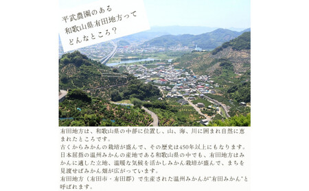 農家直送！きよみオレンジ 3kg ≪秀品≫［平武農園］～蛍飛ぶ町から旬の便り～［2026年3月下旬から順次発送予定］