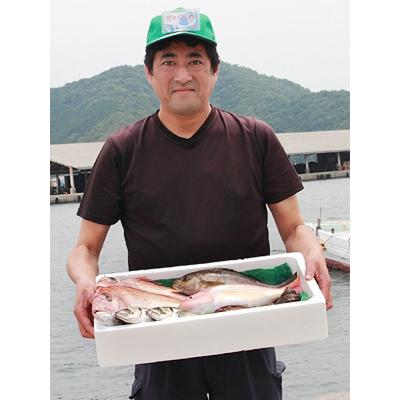 ふるさと納税 八幡浜市 無添加・天日干し　ピチピチ朝獲れ鮮魚の天日干し　6枚【C26-7】 |  | 01