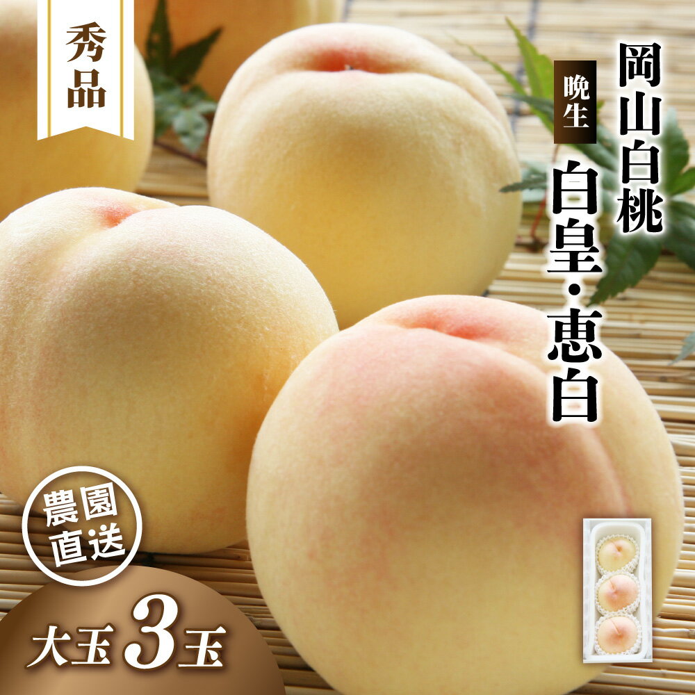 【ふるさと納税】 岡山白桃 晩生 白皇・恵白 秀品 大玉 3玉 【2026年先行予約】 糖度センサー 晩生 白皇 恵白 白桃 贈答 ギフト 産直 モモ もも 岡山県産 岡山県 高級 フルーツ 果物 くだもの 【配送不可地域：北海道／沖縄県／離島】 momo66