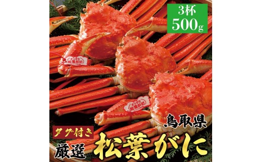 769.【活】【2027年1月～2027年3月発送】 特撰 松葉がに【ブランドタグ付き】 500g超×3杯【ブランド 蟹 タグ付き 生 ナマ かに 松葉ガニ 松葉蟹 訳あり カニ味噌 みそ 家庭用 鳥取県産 北栄町 おすすめ 人気】
