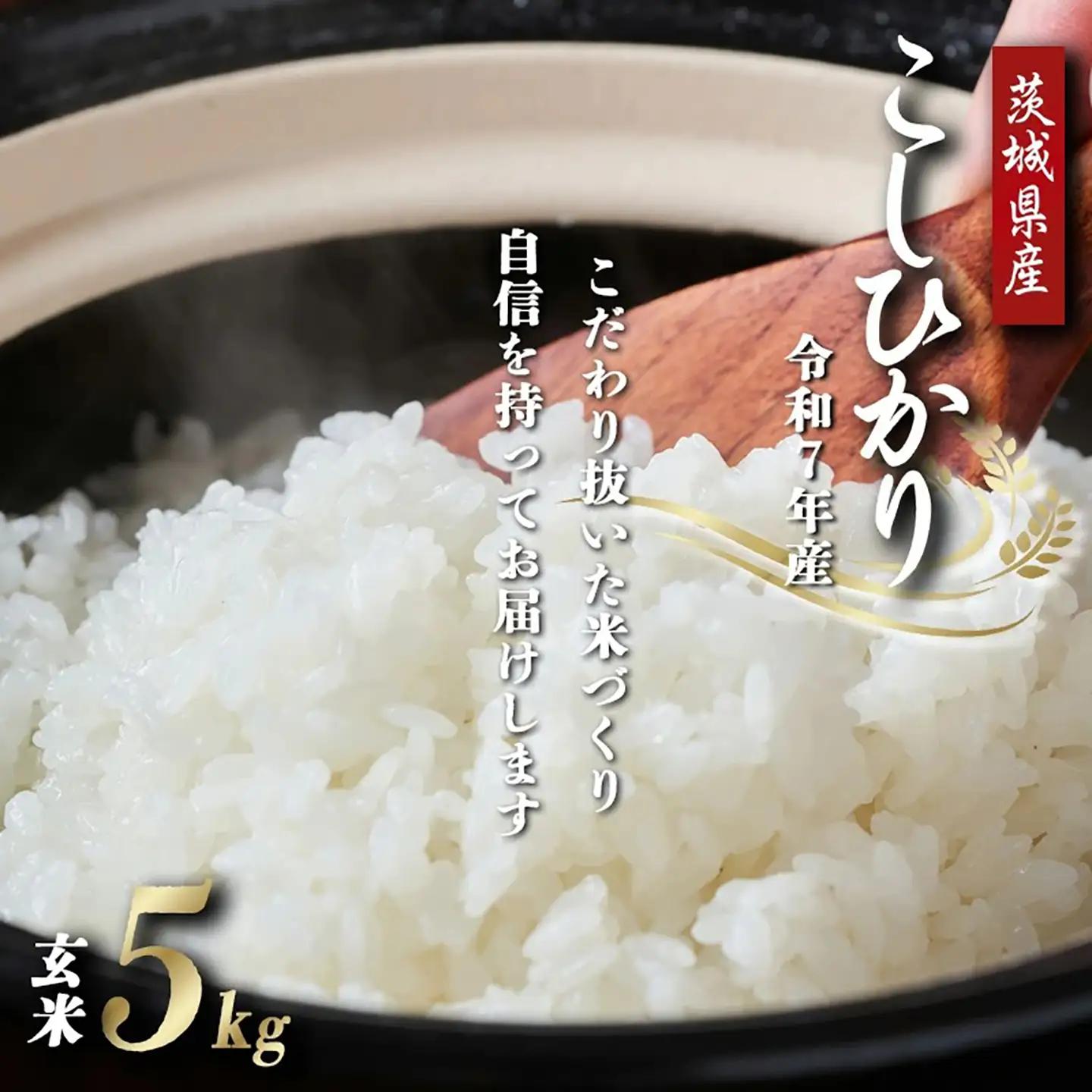 【玄米】令和7年産 コシヒカリ玄米 5kg 米