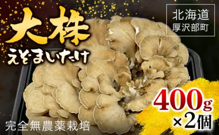 北海道厚沢部町産　大株えぞまいたけ　400g×2個 【 ふるさと納税 人気 おすすめ ランキング えぞまいたけ まいたけ 舞茸 マイタケ 鍋 天ぷら すき焼き 味噌汁 炒め物 北海道 厚沢部 送料無料 】 ASM001