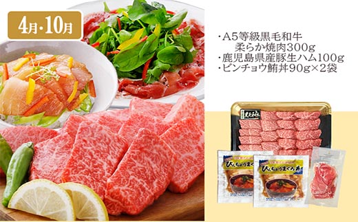 定期便(6回)お楽しみ便(A5等級黒毛和牛・黒豚・海鮮・さつま揚げ等)GG-0052【1166771】 _ 肉 黒豚 牛肉 海鮮 黒毛和牛 定期便 人気 おすすめ 送料無料 贈答 ギフト 鰹 ハム マ