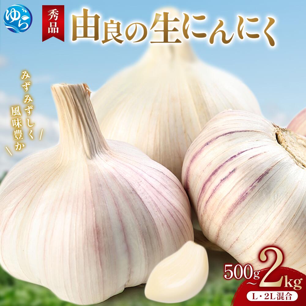 【ふるさと納税】 生にんにく 秀品 / ニンニク ガーリック 由良町 / (L・2L混合) 500g 1kg 1.5kg 2kg / ※2026年4月下旬～順次発送