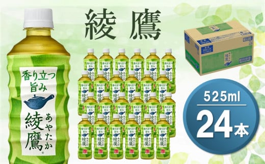 
綾鷹 525mlPET×24本(1ケース)【コカコーラ お茶 旨み 渋み うまみ スッキリ 緑茶 日本茶 厳選国産茶葉 国産 おいしい 飲みきり お手軽 お徳用 ペットボトル 常備 保存 買い置き】 Z3-C047032
