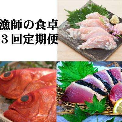 ふるさと納税 室戸市 漁師の食卓定期便【3回お届け】