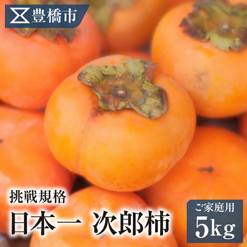 【ふるさと納税】《先行予約》豊橋市産 次郎柿 ご家庭用 5kg 産地直送 柿 かき 果物 フルーツ デザート 送料無料 愛知県 豊橋
