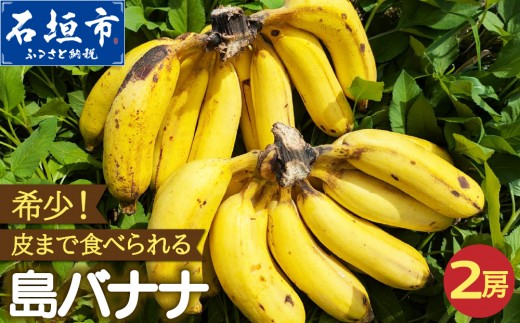
                  希少！皮まで食べられる特別な石垣島産 島バナナ 2房 | ふるさと納税 沖縄県石垣市 沖縄 石垣市 石垣島 希少 無農薬 バナナ ばなな 離島のいいもの 沖縄いいもの石垣島 OI-027
                