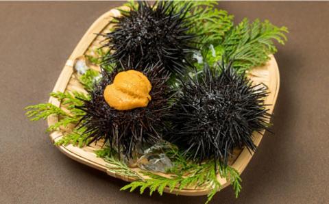 焼売 壱岐産 いかしゅうまい 3種セット 3箱 計22個 【 うに ・あおさ・ いか 】《壱岐市》【大幸物産株式会社】ウニ イカ シュウマイ [JEH018] 18000 18000円